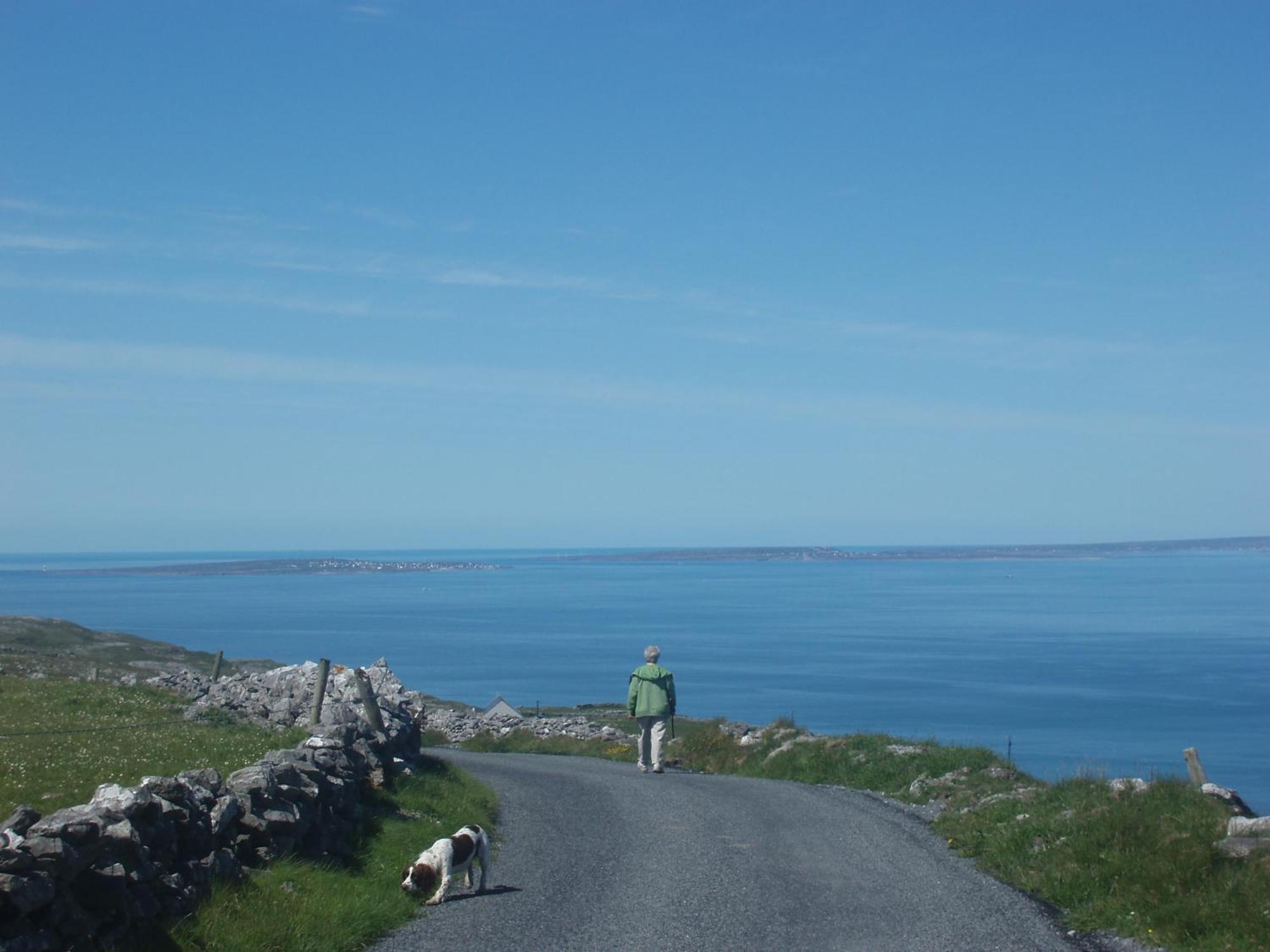 Greenlawn Lodge Lisdoonvarna Luaran gambar