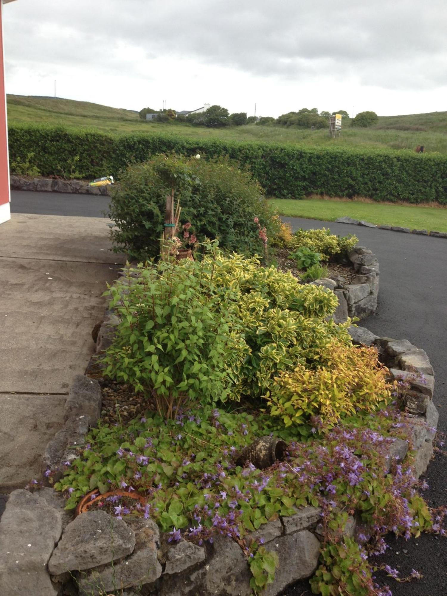 Greenlawn Lodge Lisdoonvarna Luaran gambar